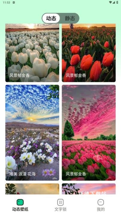 清风壁纸app最新版本_https://www.wordpress6.com_手机美化_第1张