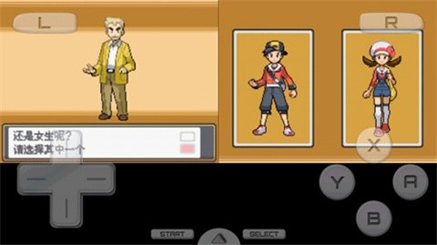 口袋妖怪魂银_https://www.wordpress6.com_角色扮演_第3张