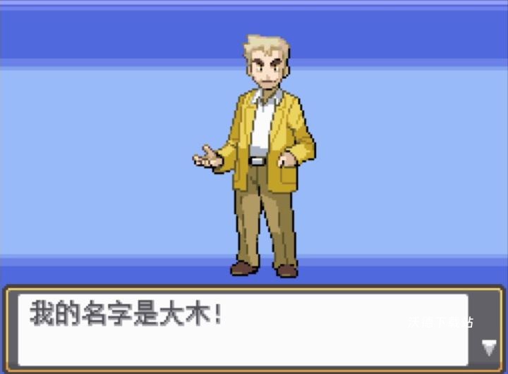 口袋妖怪魂银中文版nds_https://www.wordpress6.com_角色扮演_第1张