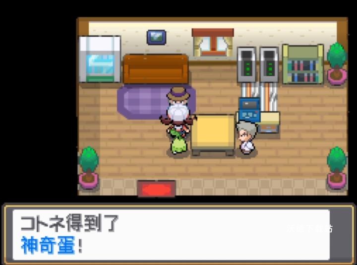 口袋妖怪魂银中文版nds_https://www.wordpress6.com_角色扮演_第8张