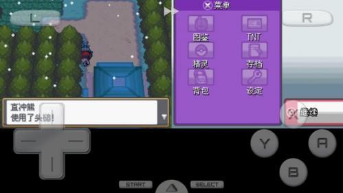 口袋妖怪启示录外传_https://www.wordpress6.com_角色扮演_第2张