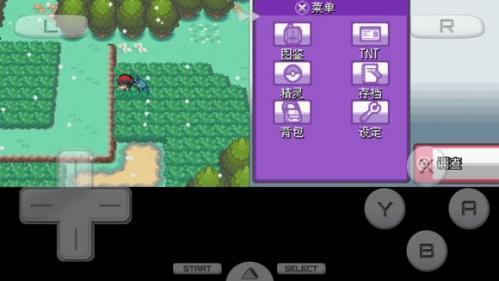 口袋妖怪启示录外传_https://www.wordpress6.com_角色扮演_第1张