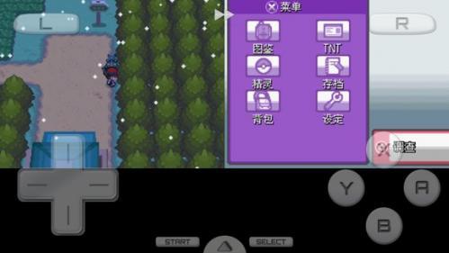 口袋妖怪启示录外传_https://www.wordpress6.com_角色扮演_第4张