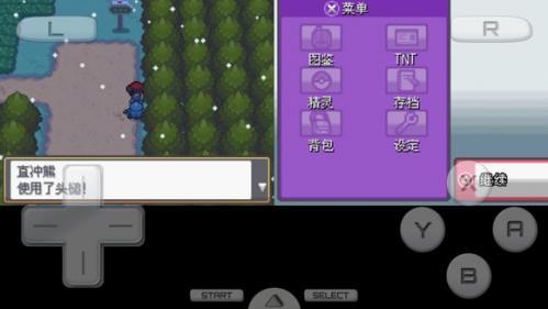 口袋妖怪启示录外传_https://www.wordpress6.com_角色扮演_第5张