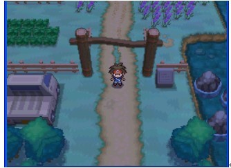 口袋妖怪绝对黑优化版_https://www.wordpress6.com_角色扮演_第7张