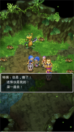 勇者斗恶龙6nds_https://www.wordpress6.com_角色扮演_第6张