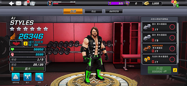 美国职业摔角联盟2010_https://www.wordpress6.com_动作冒险_第2张