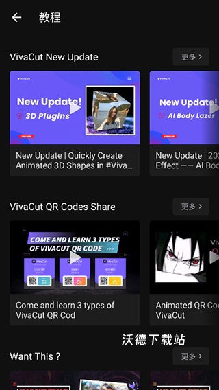 VivaCut_https://www.wordpress6.com_摄影图像_第5张