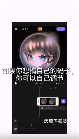 VivaCut_https://www.wordpress6.com_摄影图像_第11张