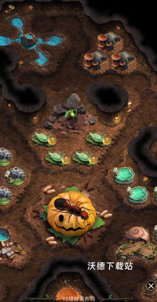 小小蚁国送648元金甲蚁下载_https://m.wordpress6.com_模拟经营_第4张