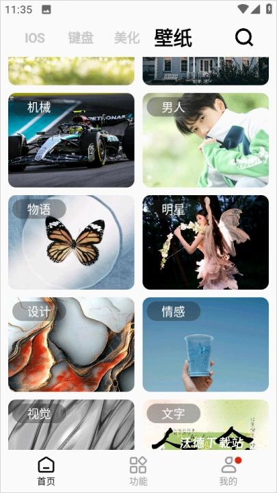 主题猫_https://www.wordpress6.com_摄影图像_第4张