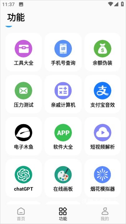 主题猫_https://www.wordpress6.com_摄影图像_第6张