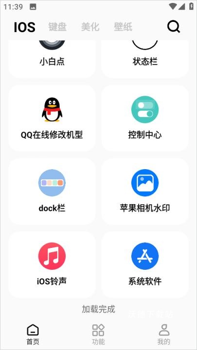 主题猫_https://www.wordpress6.com_摄影图像_第7张