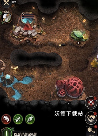 小小蚁国哥斯拉联动版下载_https://m.wordpress6.com_模拟经营_第1张