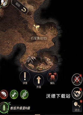 小小蚁国哥斯拉联动版下载_https://m.wordpress6.com_模拟经营_第2张