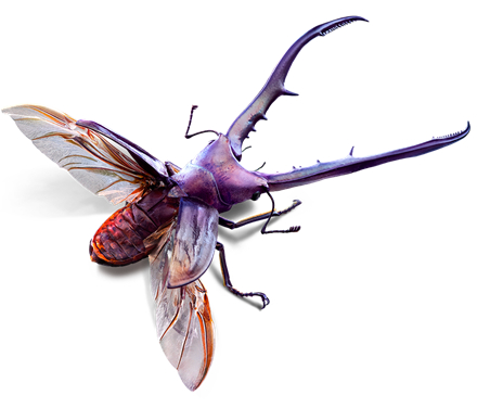 小小蚁国中文版下载_https://m.wordpress6.com_模拟经营_第7张