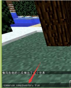 我的世界1.17.11.01国际版下载_https://www.wordpress6.com_休闲益智_第1张