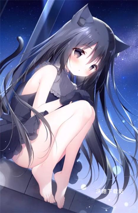 星空列车与白的旅行下载_https://www.wordpress6.com_角色扮演_第1张