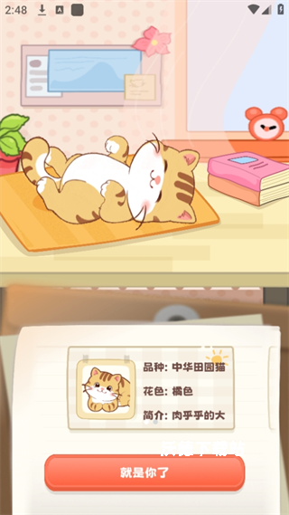 桌面猫_https://m.wordpress6.com_手机美化_第2张