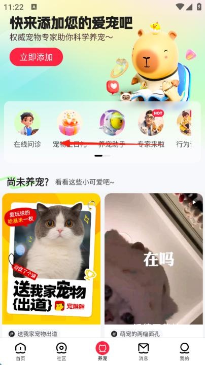 宠胖胖2026官方下载_https://www.wordpress6.com_生活实用_第2张