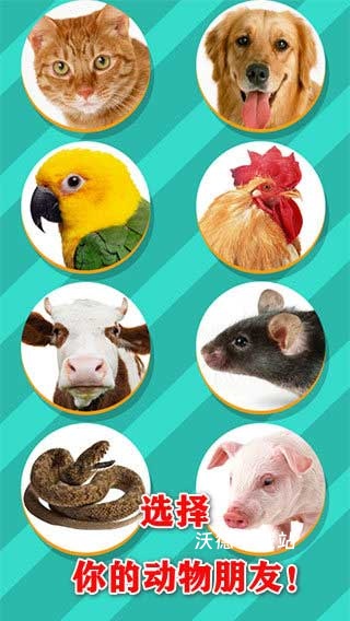 宠物对话器_https://www.wordpress6.com_生活实用_第2张