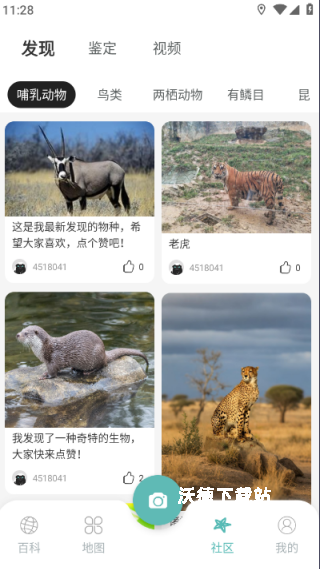 百科物语下载_https://www.wordpress6.com_学习教育_第4张