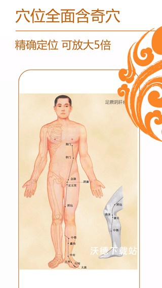 经络养生app_https://www.wordpress6.com_生活实用_第2张
