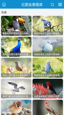 亿图全景图库_系统工具_第2张_沃德下载站 亿图全景图库_https://www.wordpress6.com_系统工具_第2张