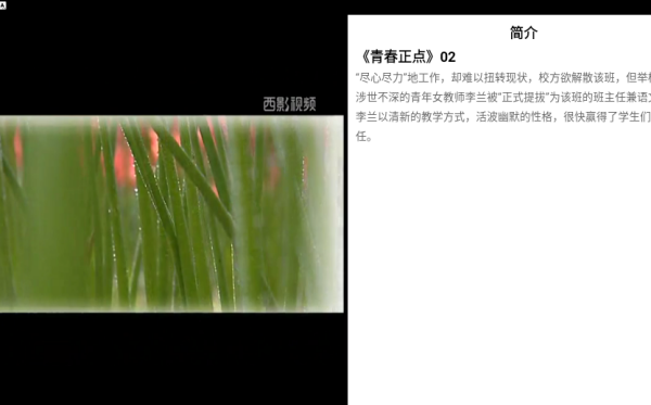 西影视频_https://www.wordpress6.com_影音播放_第4张