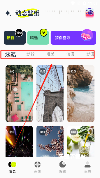 主题库精灵_https://www.wordpress6.com_摄影图像_第1张