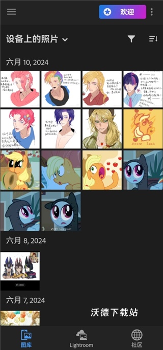 lightroom安卓版下载_https://www.wordpress6.com_手机美化_第5张