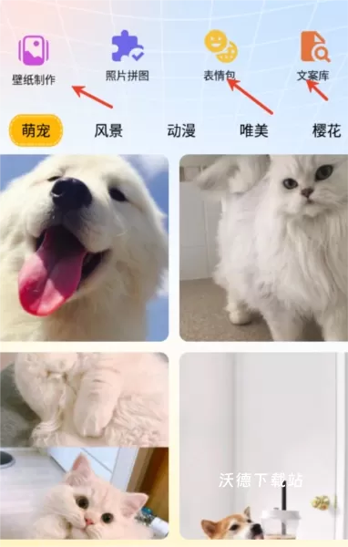 趣美壁纸下载安装_https://www.wordpress6.com_手机美化_第2张