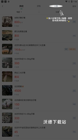 猪邦忙app_https://www.wordpress6.com_生活实用_第2张