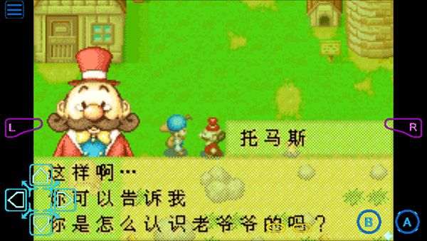 牧场物语矿石镇的伙伴们下载_https://www.wordpress6.com_模拟经营_第4张