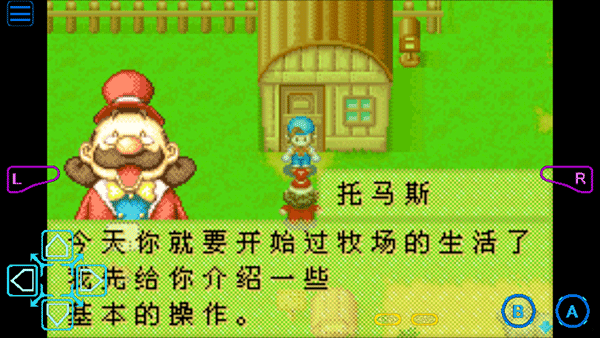 牧场物语矿石镇的伙伴们下载_https://www.wordpress6.com_模拟经营_第5张