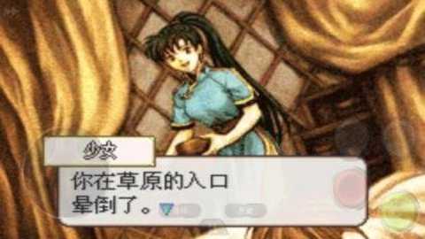 火焰纹章烈火之剑下载_https://www.wordpress6.com_角色扮演_第1张