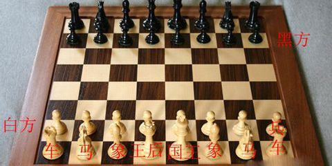 国际象棋手机版下载_https://www.wordpress6.com_棋牌桌游_第2张