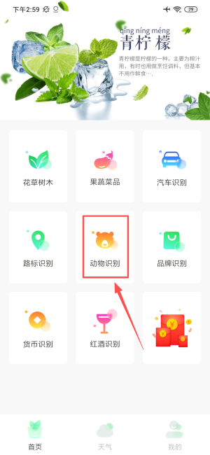 智能拍照识物_生活实用_第3张_沃德下载站 智能拍照识物_https://www.wordpress6.com_生活实用_第3张