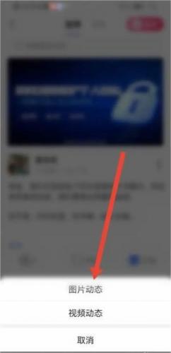 微核聊天app_通讯社交_第7张_沃德下载站 微核聊天app_https://www.wordpress6.com_通讯社交_第7张