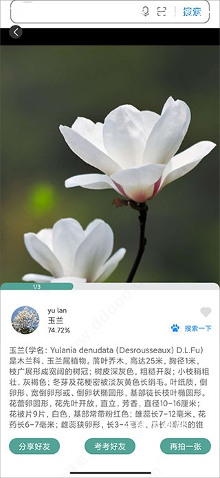识花君_https://www.wordpress6.com_生活实用_第4张