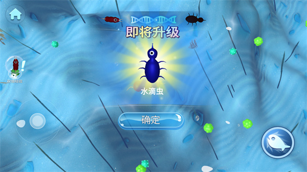 物种进化模拟下载_https://www.wordpress6.com_休闲益智_第5张