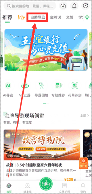 三毛游AI版_https://www.wordpress6.com_出行购物_第1张