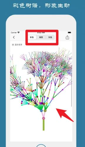 族记app_https://www.wordpress6.com_生活实用_第4张