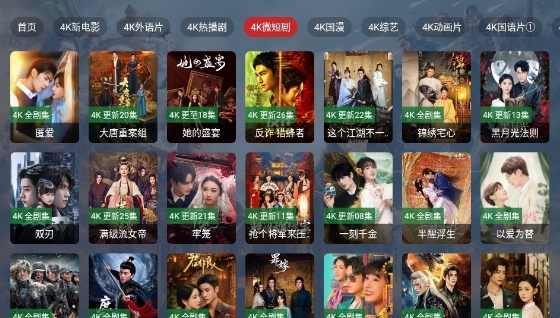 4K视界电视版_影音播放_第3张_沃德下载站 4K视界电视版_https://www.wordpress6.com_影音播放_第3张