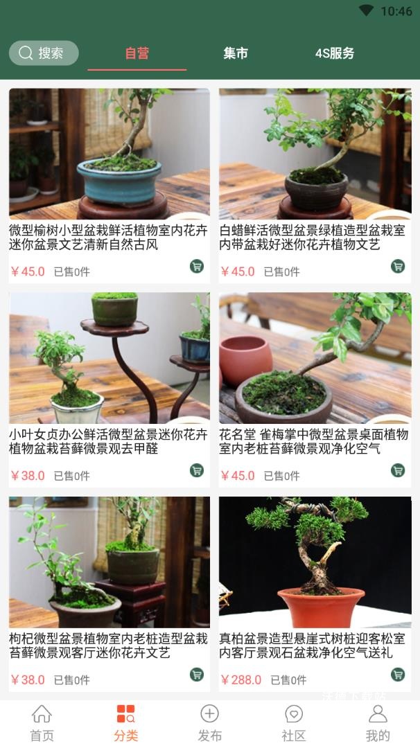 中国小微盆景app_生活实用_第1张_沃德下载站 中国小微盆景app_https://www.wordpress6.com_生活实用_第1张