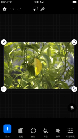悟空图像app_生活实用_第1张_沃德下载站 悟空图像app_https://m.wordpress6.com_生活实用_第1张
