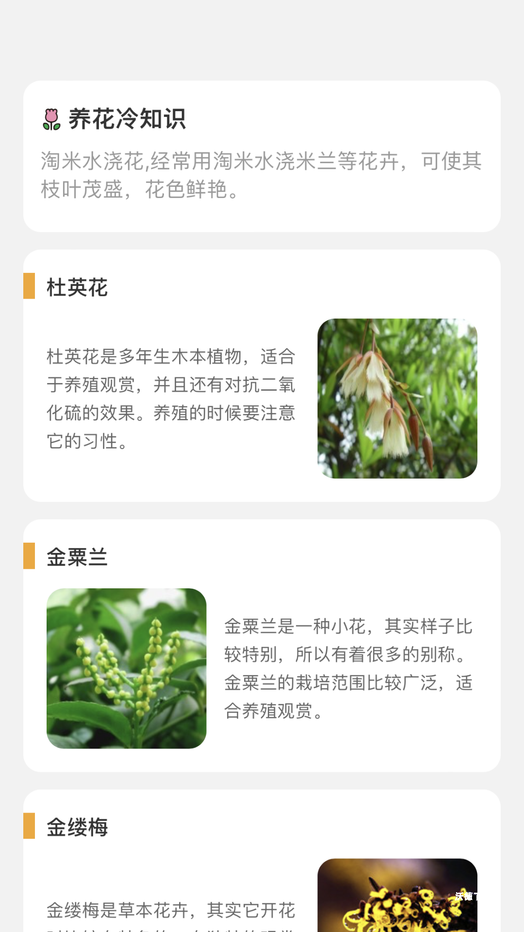 百花悦看app_生活实用_第1张_沃德下载站 百花悦看app_https://www.wordpress6.com_生活实用_第1张