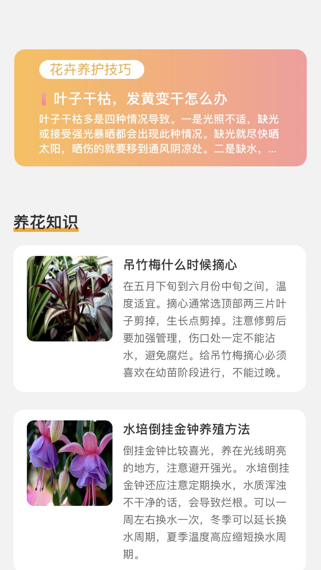 百花悦看app_生活实用_第2张_沃德下载站 百花悦看app_https://www.wordpress6.com_生活实用_第2张