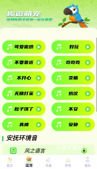 鹦鹉翻译助手_生活实用_第2张_沃德下载站 鹦鹉翻译助手_https://www.wordpress6.com_生活实用_第2张