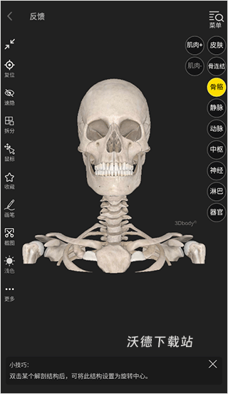 3Dbody解剖app_生活实用_第3张_沃德下载站 3Dbody解剖app_https://m.wordpress6.com_生活实用_第3张